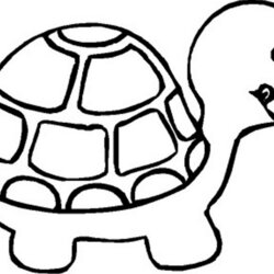 Terrific Free Printable Preschool Coloring Pages Best For Kids Preschoolers Turtle Colouring Sheets Color