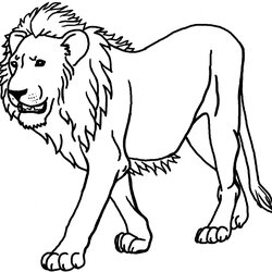 Superior Printable Lion Coloring Pages Print Color Craft Animals Of