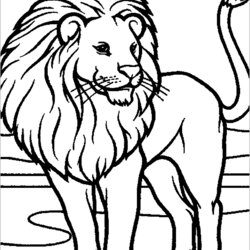 Supreme Lion Kids Coloring Pages Children Color Simple Animals For