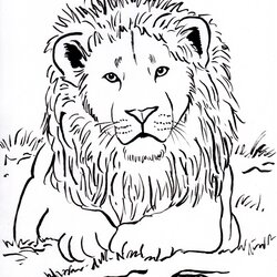 Marvelous Drawing With Shapes And Lines Art Starts Lion Coloring Head Paws Ovals Circle Legs Its Page