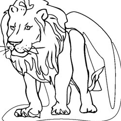 Great Lion Coloring Pages Printable Kids Drawing Colour King Download