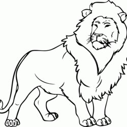 Matchless Lion With Little Lions Coloring Pages Home