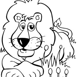 The Highest Standard Lion Coloring Pages Kids Printable Color Cl