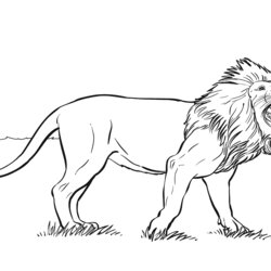 Worthy Free Printable Lion Coloring Pages For Kids Lew Lions Roaring We Loewe Page