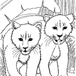 Terrific Lion Coloring Pages Lions Animal Animated Van Kids Color Fun Cl