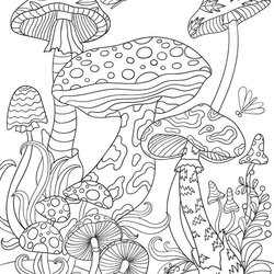 Fine Pin By On Psychedelic Coloring Pages Mushrooms Printable Adult Mushroom Colouring Sheets Fairy Magic