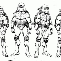 Matchless Amazing Of Interesting Teenage Mutant Ninja Turtles Color Coloring Pages Turtle Choose Board