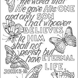 Superior Images About Adult Scripture Coloring Pages On Printable Christian Bible Colouring Verses Adults