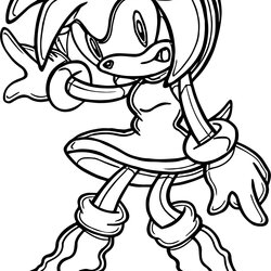 Super Amy Rose Best Coloring Page Pages Carmichael Sheets Sonic