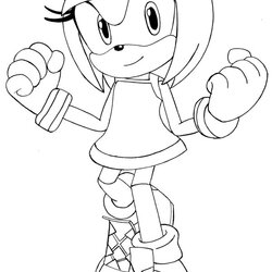 Supreme Amy Rose Coloring Pages To Download And Print For Free Sonic Template Sketch