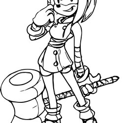 Outstanding Amy Rose Coloring Pages Printable