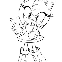 Very Good Amy Rose Coloring Pages Printable Color Bright Colors Favorite Choose Kids