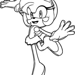 Swell Amy Rose Coloring Pages Best For Kids Happy