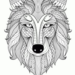 Sterling Free Coloring Pages For Adults Printable Easy To Color Animals