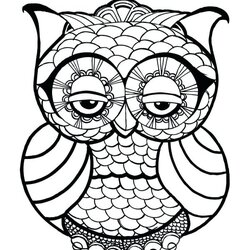 Matchless Easy Coloring Pages For Adults Best Kids Zen Owl