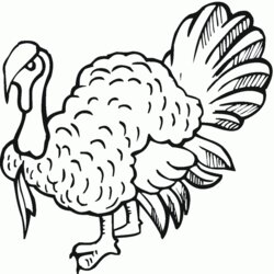 Cool Free Printable Turkey Coloring Pages For Kids