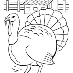 The Highest Standard Wild Turkey Coloring Page Home Printable Popular