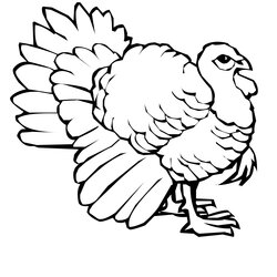 Exceptional Turkey Coloring Pages At Free Printable Wild Bird Drawing Line Chicken Color Kids Print Feather