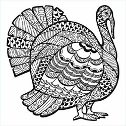 Admirable Free Turkey Coloring Pages Printable Print Adults Size For