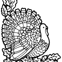 Peerless Turkey Coloring Page To Teacher Stuff Printable Pages And Worksheets Drawing Head Book Activity