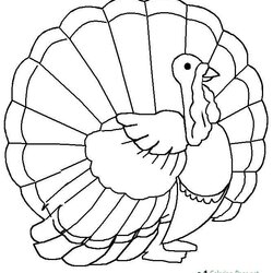 Spiffing Wild Turkey Coloring Pages Printable