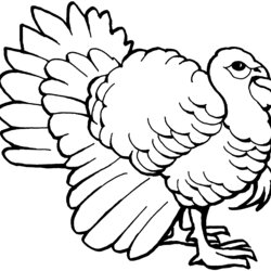 Turkey Coloring Pages Free Printable