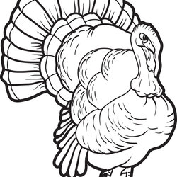 Sterling Printable Turkey Coloring Page For Kids Pages Thanksgiving Drawing Print Head Color Realistic Cooked