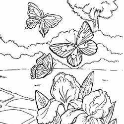 Spring Coloring Pages Best For Kids Printable Free Page