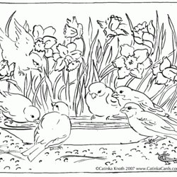 Excellent Coloring Page For Adults Nature Home