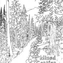 Fine Nature Coloring Pages Forest Adults Adult Choose Board Kids Printable Sheets