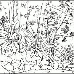 Superb Coloring Pages For Adults Nature Home Printable Scenes Kids Adult Waterfall Print Color Drawing