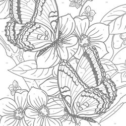 Supreme Nature Printable Coloring Pages For Adults Background Colorist Free