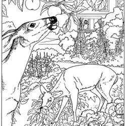 Wonderful Free Printable Nature Coloring Pages For Kids Best Adults Animals Advanced Sheets Scenes Print