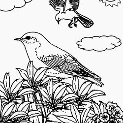 Swell Free Printable Nature Coloring Pages For Adults At Kids Drawing Scenes Color Preschoolers Print
