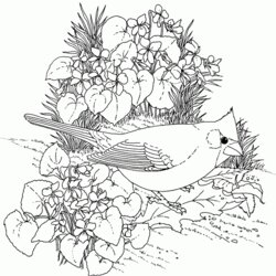 Matchless Printable Coloring Pages Nature