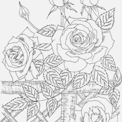 Marvelous Nature Coloring Pages For Adults Timeless Miracle