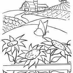 Sterling Nature Coloring Pages For Adults To Print
