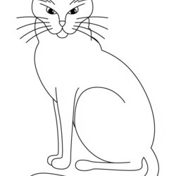 Cat Coloring Page Animals Town Color Sheet Free Pages Print Animal Printable Back