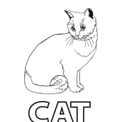 Excellent Free Printable Cat Coloring Pages For Kids Color Spell Worksheet Print Adults Detailed Prints Cats