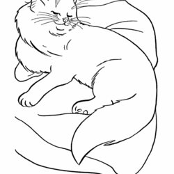 Very Good Free Printable Cat Coloring Pages For Kids