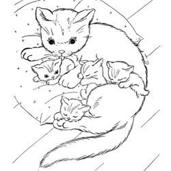Free Printable Cat Coloring Pages For Kids Cute