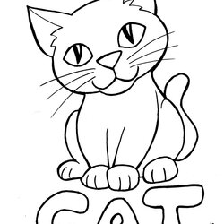 High Quality Art And Lore Cat Coloring Page Pages Animals Color Illustration Line Animal Print