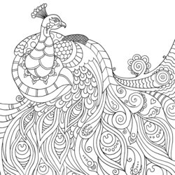 The Highest Quality Mindfulness Coloring Pages Best For Kids Printable Peacock Animals Drawing Colouring