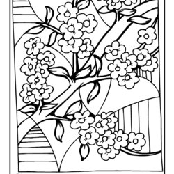 Super Japanese Coloring Page Home