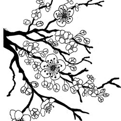 Terrific The Best Free Japanese Coloring Page Images Download From Pages