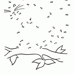 Splendid Get This Free Connect The Dots Coloring Pages To Print Dot Activity Easy Tree Kids Squirrel