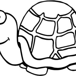 Turtle Coloring Page Pages Kids Print Para Animals Sheets Tortuga Printed Return Once Find Click