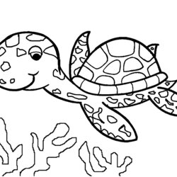 Matchless Image Of Turtle To Download And Color Turtles Kids Coloring Pages Print Funny Children For