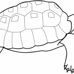 Magnificent Print Download Turtle Coloring Pages As The Educational Tool