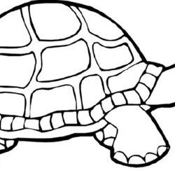 Out Of This World Turtle Coloring Pages Free Download On Tortoise Migrate